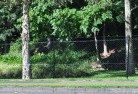 Palmtreebarbed-wire-fencing-5.jpg; ?>